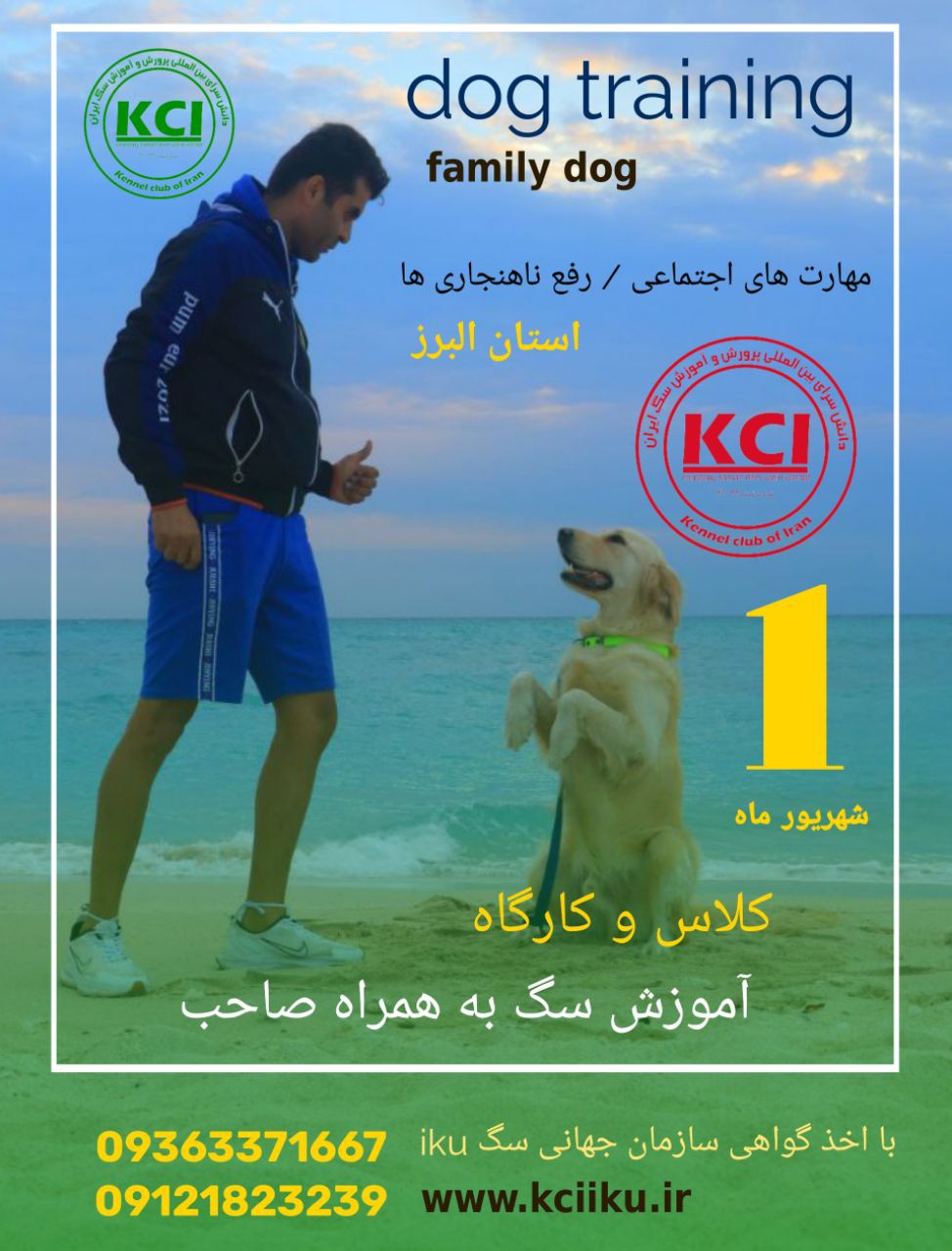 آموزش سگ و مربی سگ در کلاس مربیگری kci 